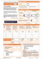 HMRC P60 2012/13 Orange Portrait